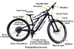 Parts Of Mountain Bikes Complete Anatomy With Illustration